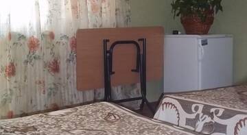 Фото номера Номер &quot;Стандарт&quot; Гостевой дом Nastenka г. Николаевка 16