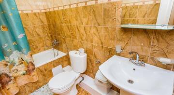 Фото номера Двухместный номер с 1 кроватью Гостевой дом Green House г. Николаевка 3