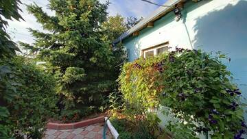 Фото номера Двухместный номер с 1 кроватью и собственной ванной комнатой Гостевой дом У Фаины г. Николаевка 4